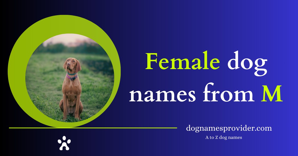 Dog-names-female-starting-with-M