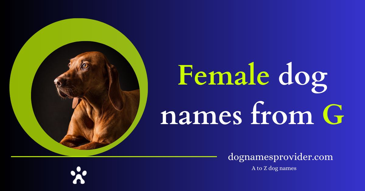 Female-dog-names-beginning-with-G