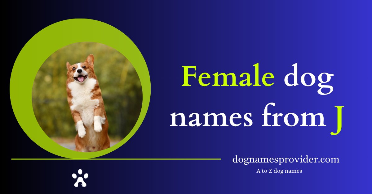 Female-dog-names-beginning-with-J