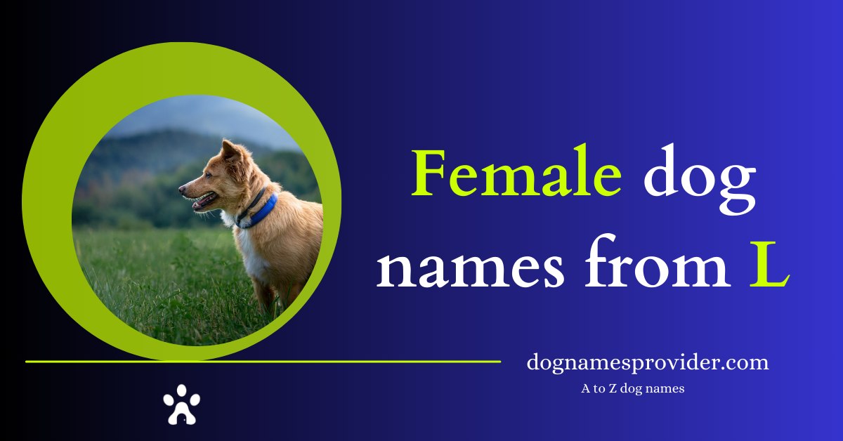 Female-dog-names-beginning-with-L