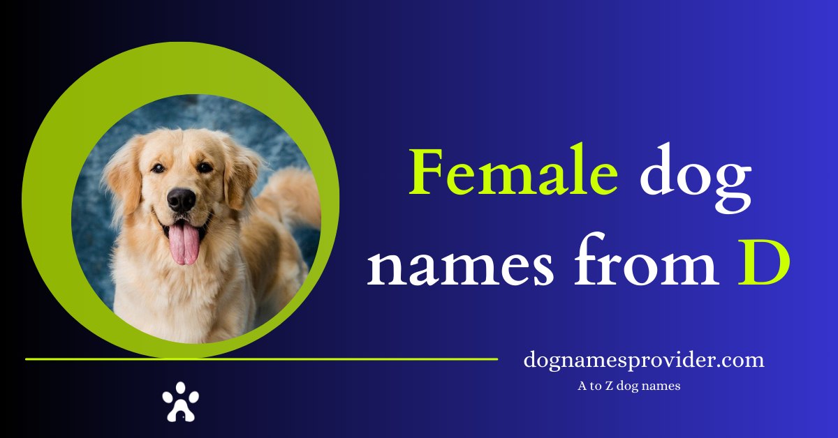 Female-dog-names-that-start-with-D