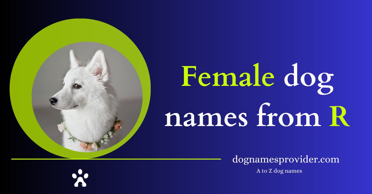 Female-dog-names-that-start-with-R