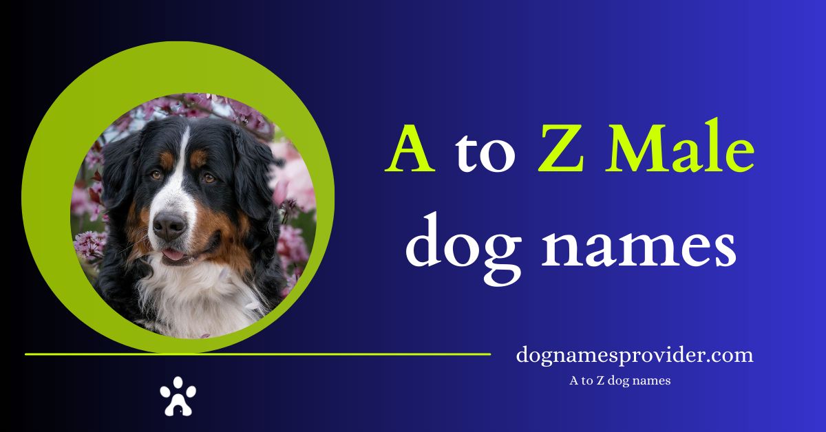 A-to-Z-Unique-Male-dog-names