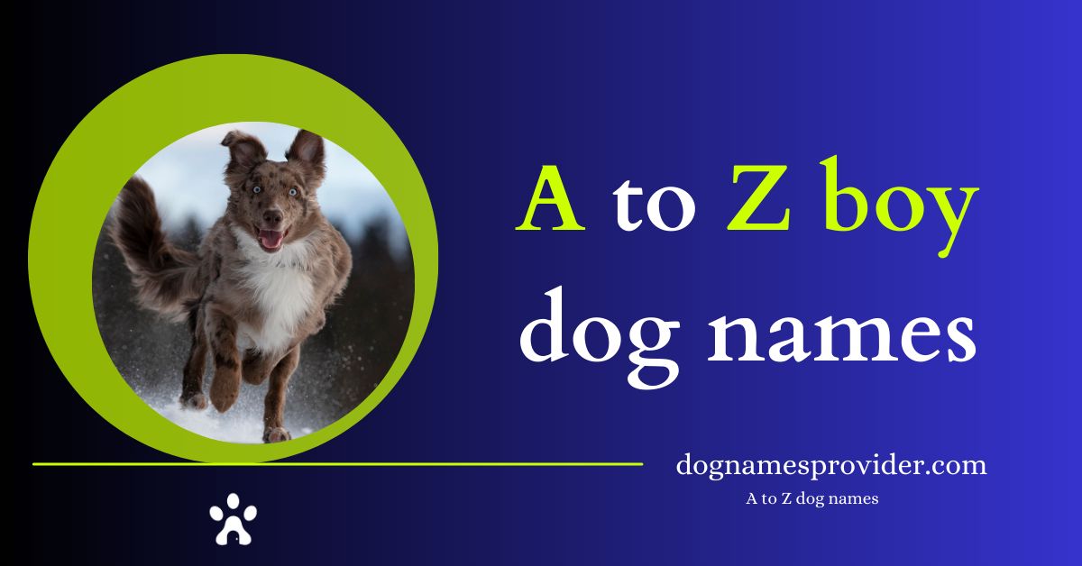 A-to-Z-Unique-boy-dog-names-with-meaning