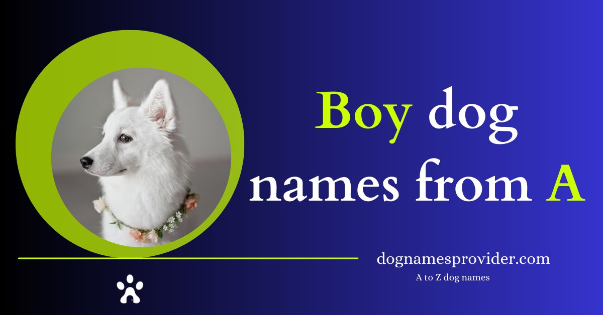 Boy-dog-names-that-start-with-A