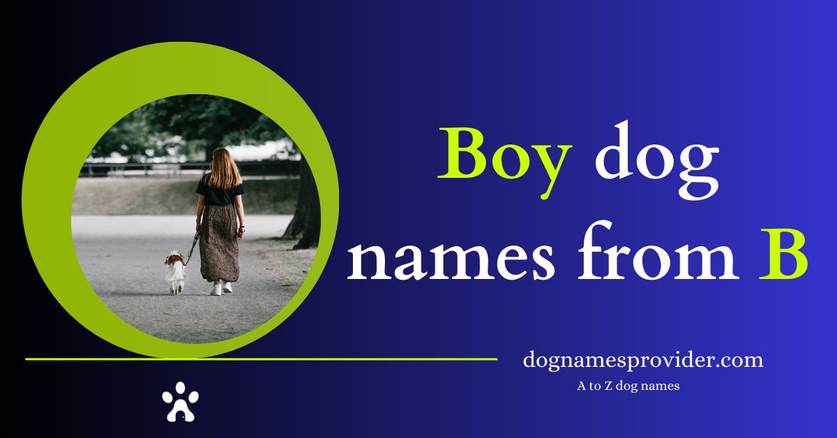 Boy-dog-names-that-start-with-B