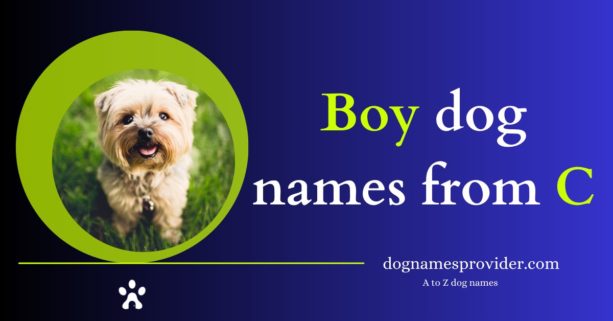 Boy-dog-names-that-start-with-C