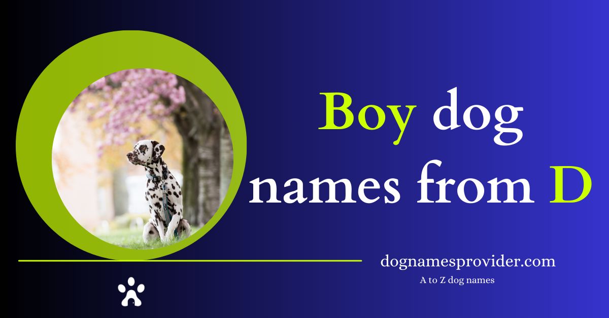 Boy-dog-names-that-start-with-D