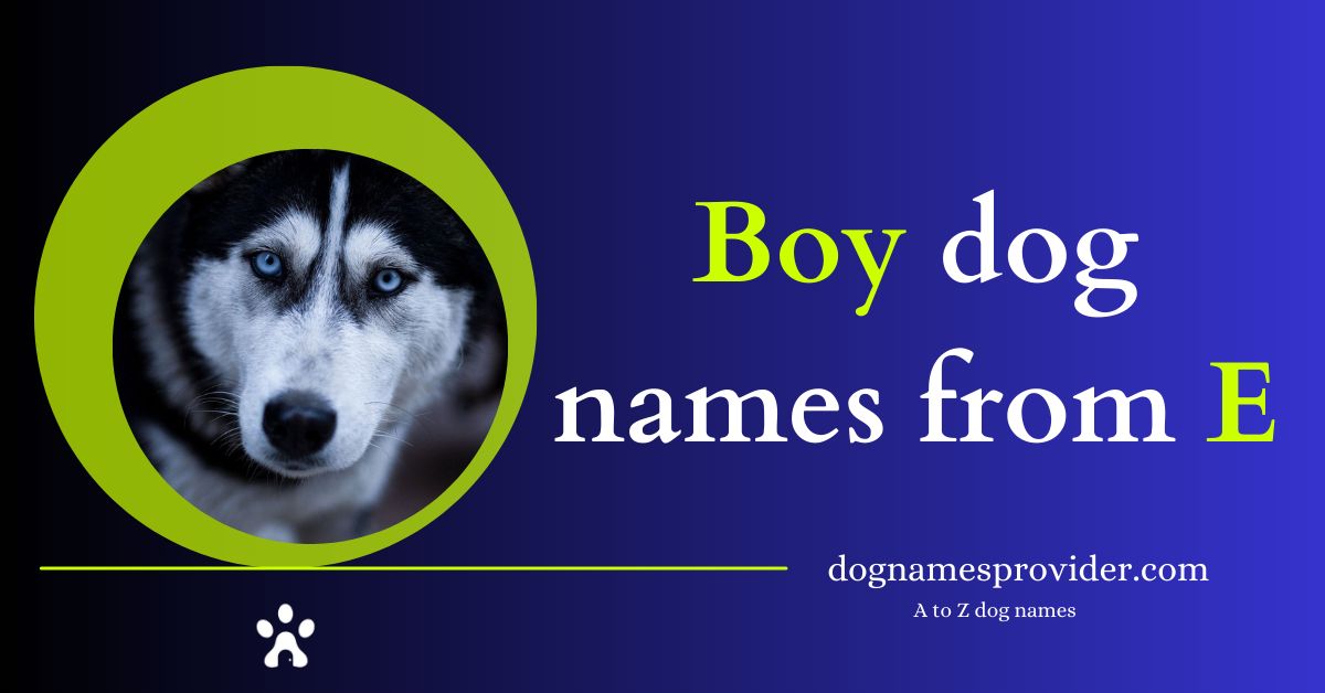 Boy-dog-names-that-start-with-E