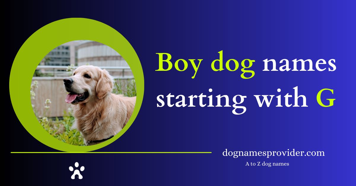 Boy-dog-names-that-start-with-G