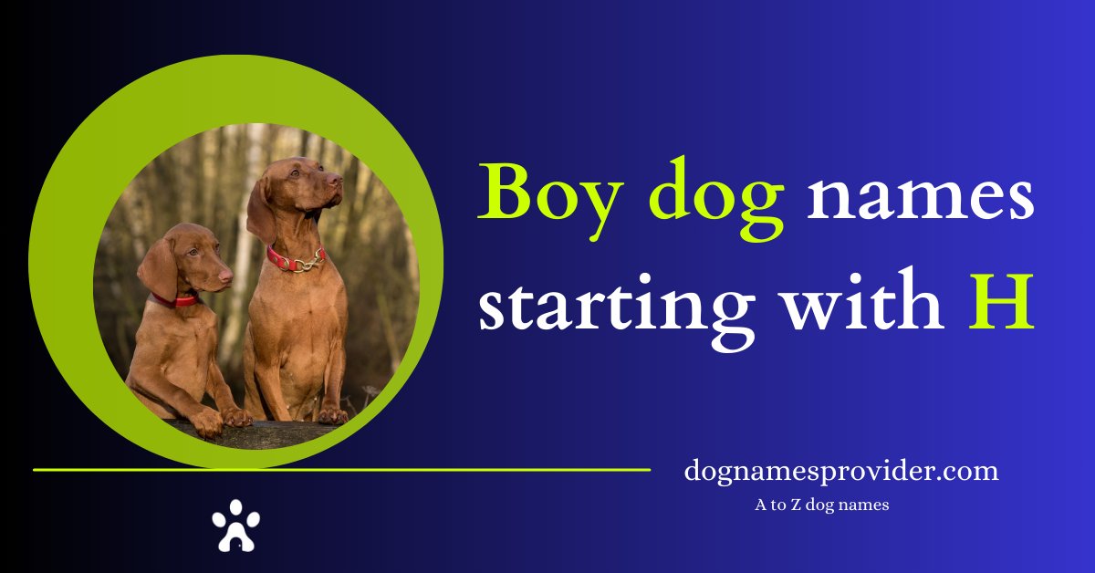 Boy-dog-names-that-start-with-H