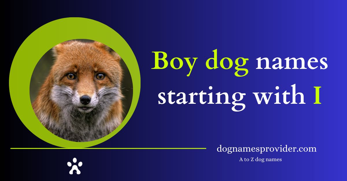 Boy-dog-names-that-start-with-I