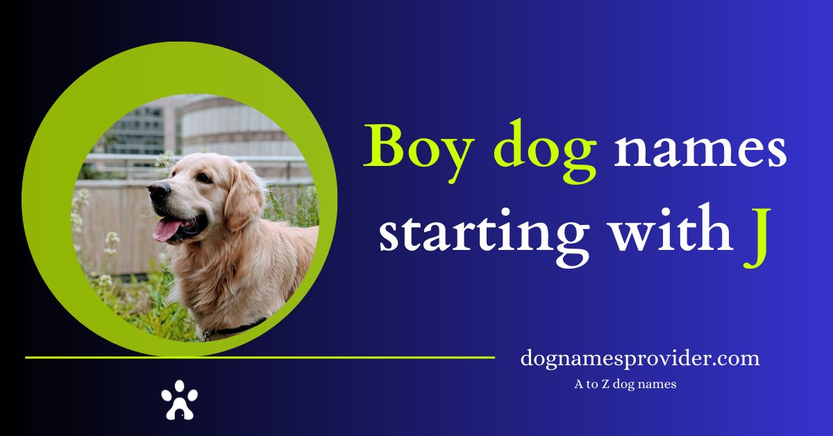 Boy-dog-names-that-start-with-J