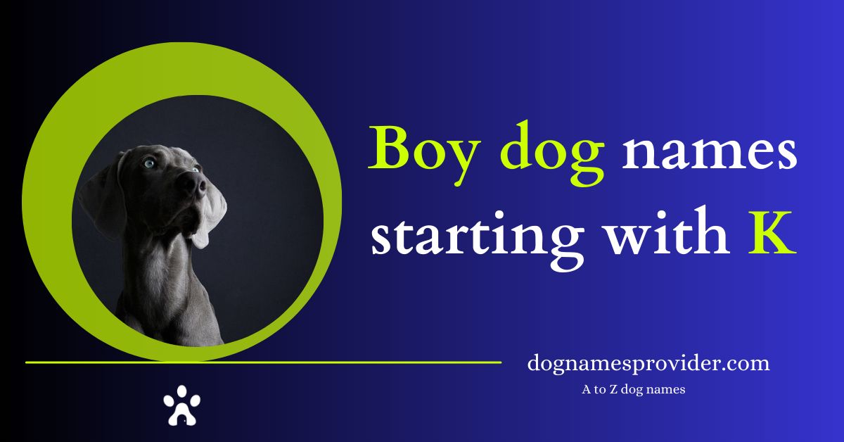 Boy-dog-names-that-start-with-K