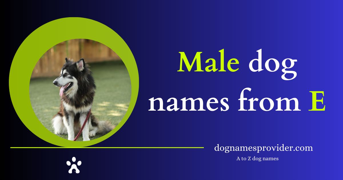 Dog-names-that-start-with-E-Male