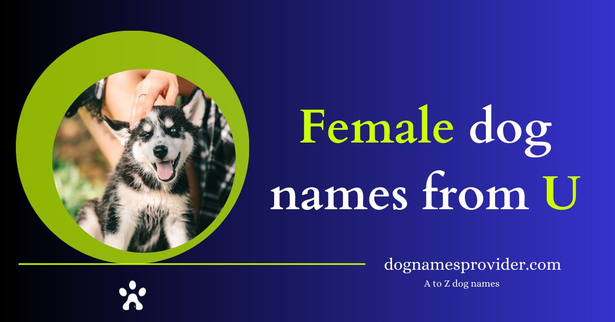 Female-dog-names-with-U