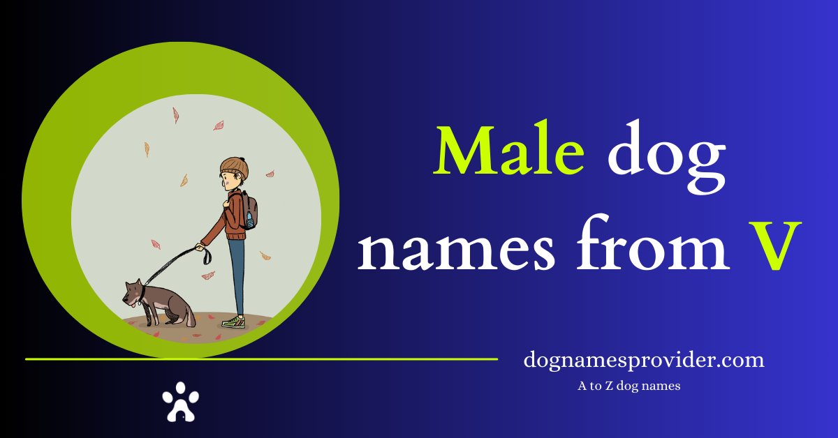 Male-dog-names-start-with-V