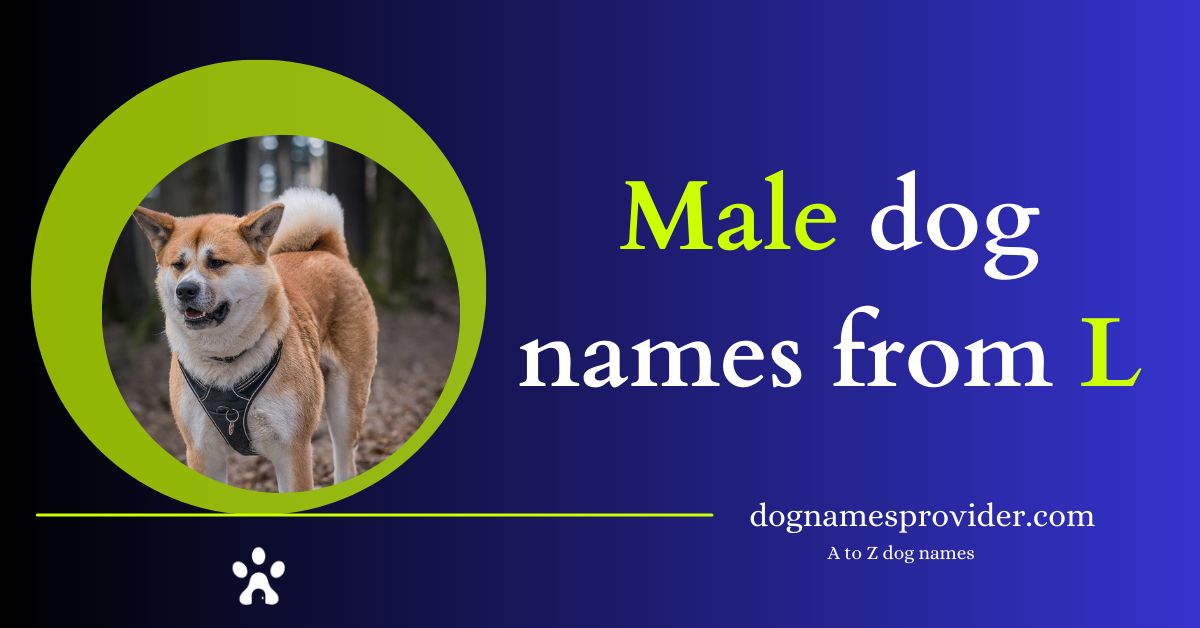 Male-dog-names-that-start-with-L