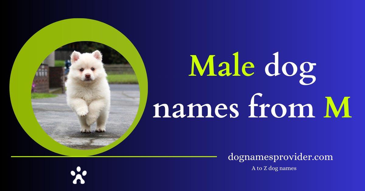 Male-dog-names-that-start-with-M