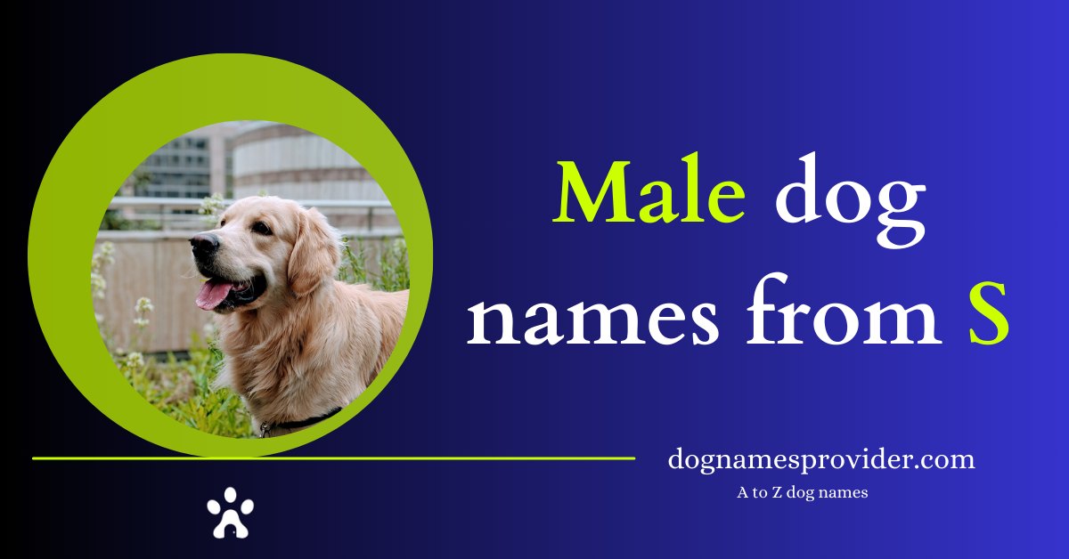 Male-dog-names-that-start-with-S