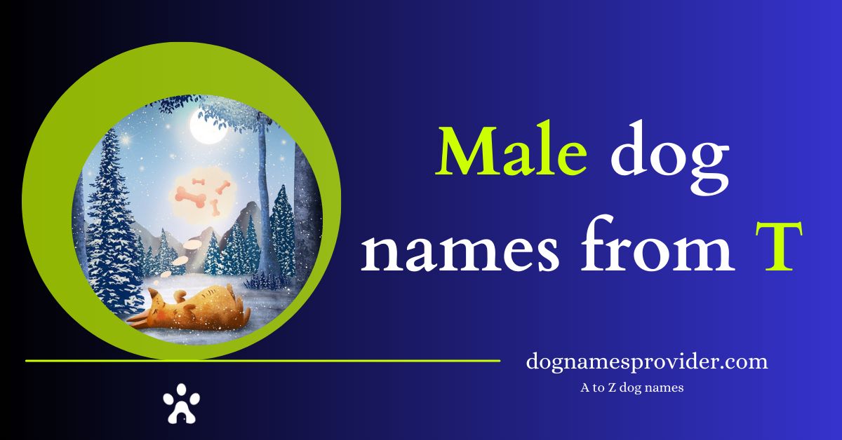 Male-dog-names-that-start-with-T