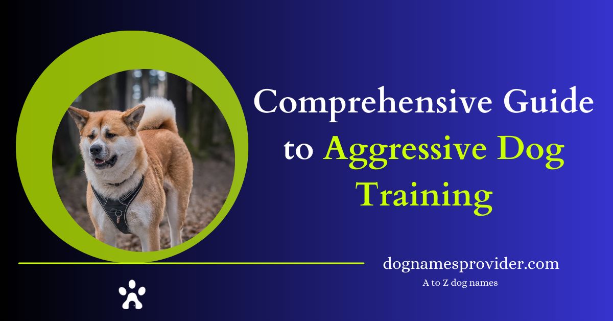 The-Comprehensive-Guide-to-Aggressive-Dog-Training