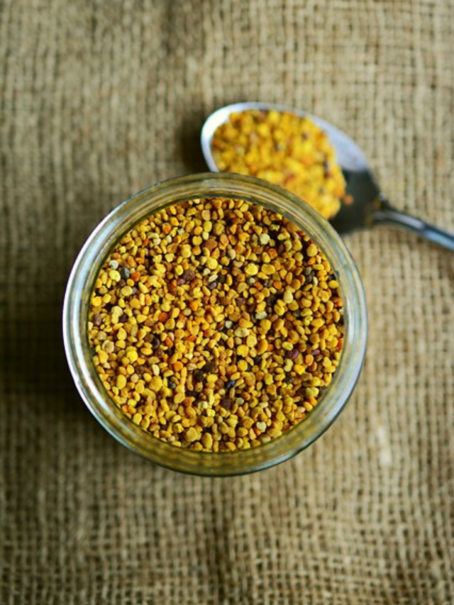 Why Your Dog Needs Bee Pollen: Top 5 Benefits!