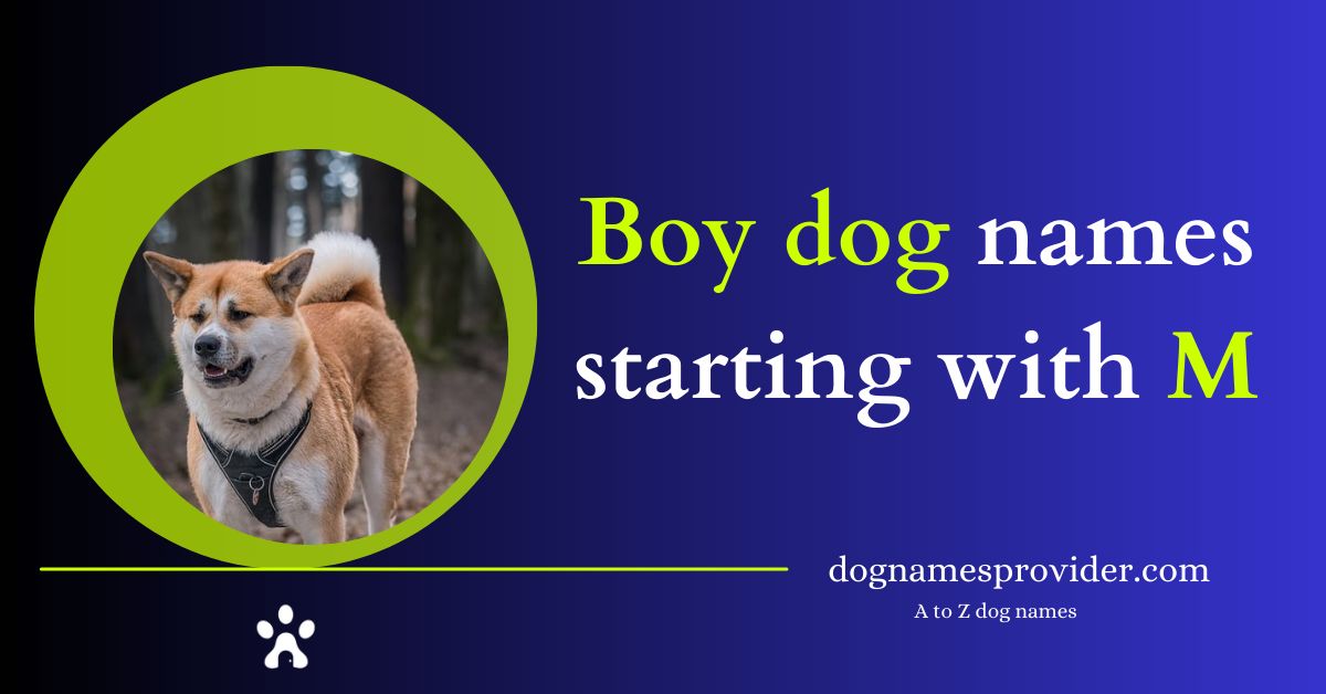 Boy-dog-names-that-start-with-M